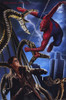 Spider-Man 2 Movie Poster Print (11 x 17) - Item # MOVGE4326