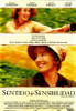 Sense and Sensibility Movie Poster Print (27 x 40) - Item # MOVIJ2445