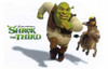 Shrek the Third Movie Poster Print (11 x 17) - Item # MOVGI6000