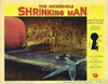 The Wrong Man Movie Poster Print (11 x 17) - Item # MOVAE0420