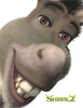 Shrek 2 Movie Poster Print (11 x 17) - Item # MOVGB26524