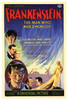 Frankenstein Movie Poster Print (27 x 40) - Item # MOVEF1614