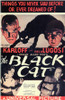 The Black Cat Movie Poster Print (11 x 17) - Item # MOVAD4999