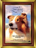 Lassie Movie Poster Print (11 x 17) - Item # MOVGJ2436