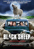 Black Sheep Movie Poster Print (11 x 17) - Item # MOVCJ0751