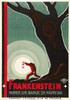 Frankenstein Movie Poster Print (27 x 40) - Item # MOVAJ6116