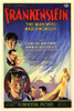 Frankenstein Movie Poster Print (11 x 17) - Item # MOVAC5867