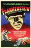 Frankenstein Movie Poster Print (11 x 17) - Item # MOVIC9829