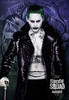 Suicide Squad Movie Poster Print (27 x 40) - Item # MOVIB52845