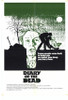 Diary of the Dead Movie Poster Print (11 x 17) - Item # MOVEF2126