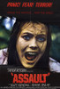 Assault Movie Poster Print (11 x 17) - Item # MOVIE0180