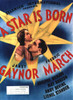 A Star Is Born Movie Poster Print (11 x 17) - Item # MOVCJ8120