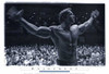 Arnold Schwarzenegger Movie Poster Print (27 x 40) - Item # MOVEH9693