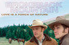 Brokeback Mountain Movie Poster Print (11 x 17) - Item # MOVCG5802
