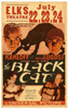 The Black Cat, c.1934 Movie Poster (11 x 17) - Item # MOV417478