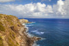 Sea cliffs on the north shore of West Maui, Hawaii with the island of Molokai in the background; Maui, Hawaii, United States of America Poster Print by Dave Fleetham (18 x 12)