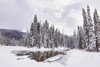 Stream with some open water near Emerald Lake in the winter in the Rocky Mountains of Yoho National Park; British Columbia, Canada Poster Print by LJM Photo (19 x 12)