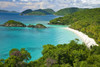 Turquoise water at Trunk bay on the island of St. John in the US Virgin Islands; St. John, U.S. Virgin Islands Poster Print by Michael Melford (17 x 11)