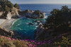 McWay waterfall and pink flowers overlook a cove near Big Sur. Poster Print by Ben Horton (17 x 11)