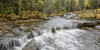 River and cascades in an autumn coloured forest; Terrace Bay, Ontario, Canada Poster Print by Susan Dykstra (30 x 15)