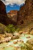 Hiker walking in the turquoise waters of Havasu Canyon. Poster Print by Ralph Lee Hopkins (11 x 17) Hiker walking in the turquoise waters of Havasu Canyon. Poster Print by Ralph Lee Hopkins (11 x 17)