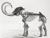The woolly mammoth (Mammuthus primigenius).  From Le Savant du Foyer ou Notions Scientifiques Sur Les Objets Usuels de la Vie, published 1864 Poster Print by Ken Welsh (16 x 12)