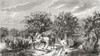 Workers picking apples in Normandy, France in the 19th century.  From Le Savant du Foyer ou Notions Scientifiques Sur Les Objets Usuels de la Vie, published 1864 Poster Print by Ken Welsh (20 x 11)