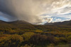 A passing shower hovers over Mount Boyle along the Dempster Highway. Fall colours grace the landscape creating an scene of sheer beauty; Dawson City, Yukon, Canada Poster Print by Robert Postma (19 x 12)