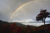 A double rainbow appears over the White Mountains on a fall morning.; Hancock, New Hampshire, USA. Poster Print by Darlyne Murawski (20 x 13)