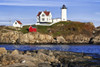 Nubble Lighthouse. Poster Print by Loop Images Ltd. (17 x 11)