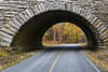 Road through Acadia National Park. Poster Print by Loop Images Ltd. (17 x 11)