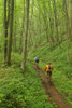 Mountainbikers on Props Run, a single track trail.; Monongahela National Forest, Slatyfork, West Virginia. Poster Print by Skip Brown (11 x 17)