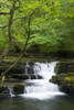 A waterfall on the Afon Pyrddin in the Brecon Beacons National Park. Poster Print by Loop Images Ltd. (13 x 20)