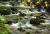 Cascading water at Dickson Falls in Fundy National Park.; Dickson Falls, Fundy National Park, New Brunswick, Canada. Poster Print by Darlyne Murawski (20 x 13)