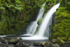 Venford Brook Falls in Dartmoor National Park. Poster Print by Loop Images Ltd. (20 x 13)
