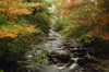 Scenic view of Duck Brook in the fall.; Acadia National Park, Mount Desert Island, Maine. Poster Print by Darlyne Murawski (17 x 11)