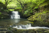 Sgydau Sychryd Falls in the Brecon Beacons National Park. Poster Print by Loop Images Ltd. (20 x 13)