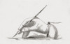 Hand holding old fashioned pen with nib.  After a 19th century print by an unidentified artist. Poster Print by Ken Welsh (17 x 11)