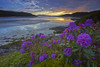 Sunset over Morar Sands looking towards with the islands of Eigg and Rhum. Poster Print by Loop Images Ltd. (18 x 12)