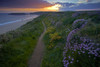 Sunset over Marloes beach from the Pembrokeshire Coastal Path. Poster Print by Loop Images Ltd. (18 x 12)