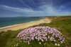 The wide sandy beach at Marloes from the Pembrokeshire Coastal Path. Poster Print by Loop Images Ltd. (18 x 12)