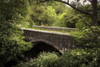 A 15th Century bridge over the River Bedalder Warleggan in Pantersbridge in Cornwall. Poster Print by Loop Images Ltd. (17 x 11)