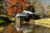 Ducks swimming in a pond at an old grist mill in an autumn landscape.; Mabry Mill, Meadows of Dan, Virginia. Poster Print by Darlyne Murawski (17 x 11)