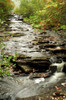 Scenic view of Duck Brook in Acadia National Park in the fall.; Acadia National Park, Mount Desert Island, Maine. Poster Print by Darlyne Murawski (11 x 17)