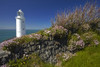The lighthouse at Trevose Head on the north Cornish coast. Poster Print by Loop Images Ltd. (18 x 12)
