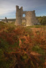 Autumnal view of the ruins of Pennard Castle. Poster Print by Loop Images Ltd. (12 x 18)