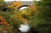 Carriage road bridge at Duck Brook in Acadia National Park.; Acadia National Park, Mount Desert Island, Maine. Poster Print by Darlyne Murawski (17 x 11)