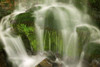 Close-up detail of motion blur with water cascading over a moss-covered boulder off Newfound Gap road in Great Smoky Mountains National Park, Tennessee, USA; Tennessee, United States of America Poster Print by Michael Melford (17 x 11)