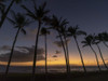 Dramatic view of a row of palm trees silhouetted against the deep, golden glow of sunset over the Pacific Ocean from the beach at Grand Wailea; Kihei, Wailea, Maui, Hawaii, United States of America Poster Print by Living Moments Media (19 x 14)