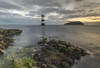 Penmon point lighthouse sunrise in Anglesey. Poster Print by Loop Images Ltd. (19 x 12)